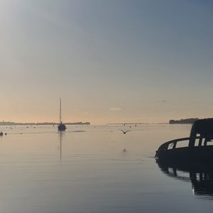 Exe Estuary Guided SUP Trip: £90